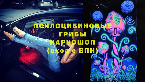 мдма Ельня
