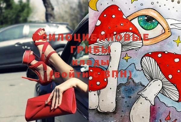ECSTASY Лиски