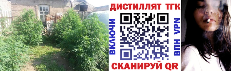 Дистиллят ТГК вейп с тгк  где купить наркотик  Приволжский 
