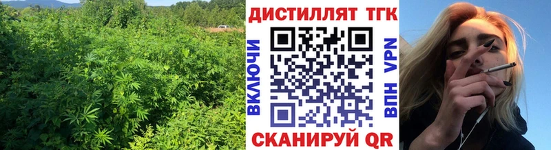 ТГК концентрат Приволжский